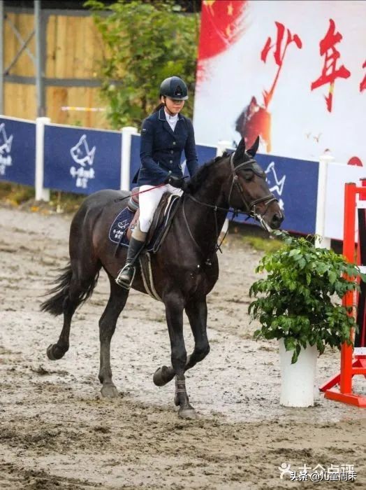 深圳海边骑马地点推荐,深圳骑马最佳地点