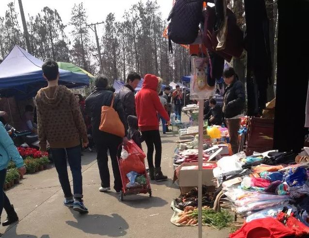 顺德杏坛北水神仙墟由来,杏坛北水神仙墟2020