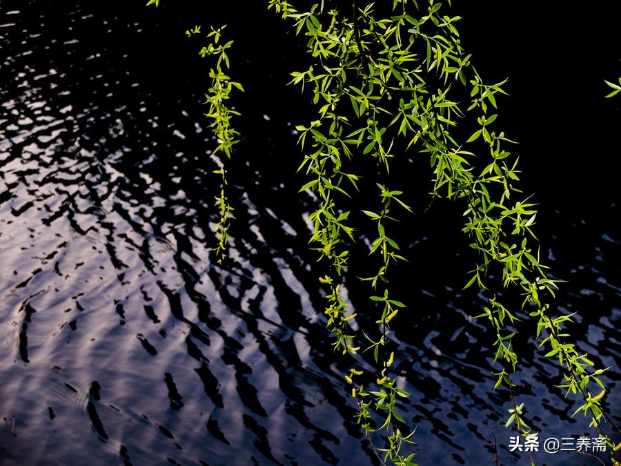 王维的山水田园诗全部,王维的田园乐七首