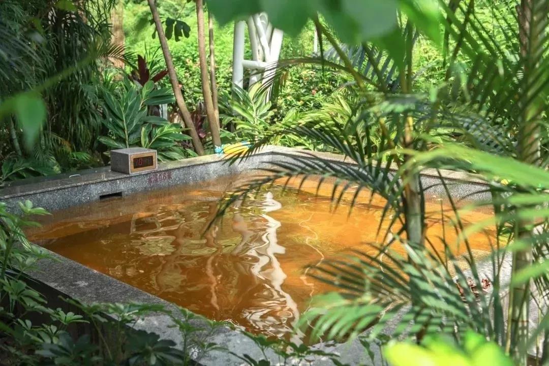 江门圭峰山温泉,江门市圭峰山温泉度假村