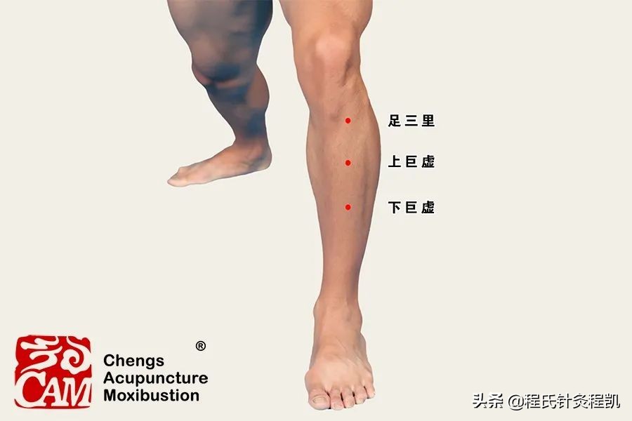 程凯养生减肥疗法,程凯养生说穴位