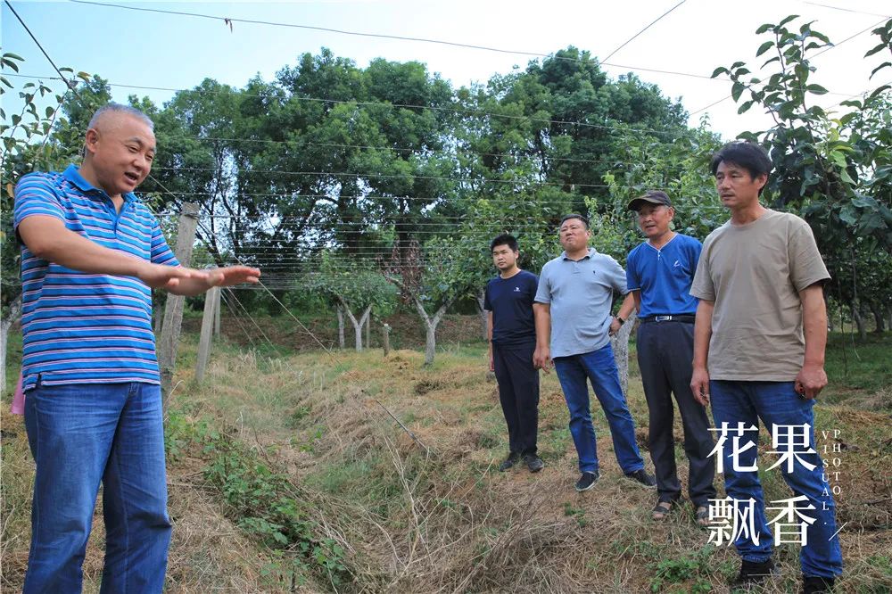 农业十个投资九个坑,农业有很多坑