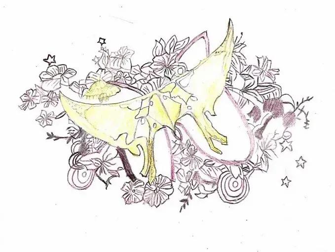 左手丹青,右手手术刀,985名校医学生笔记曝光!网友:这是学神级别的!