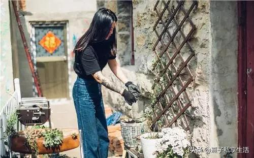 怎么打造低成本花园,怎么用几十元造花园