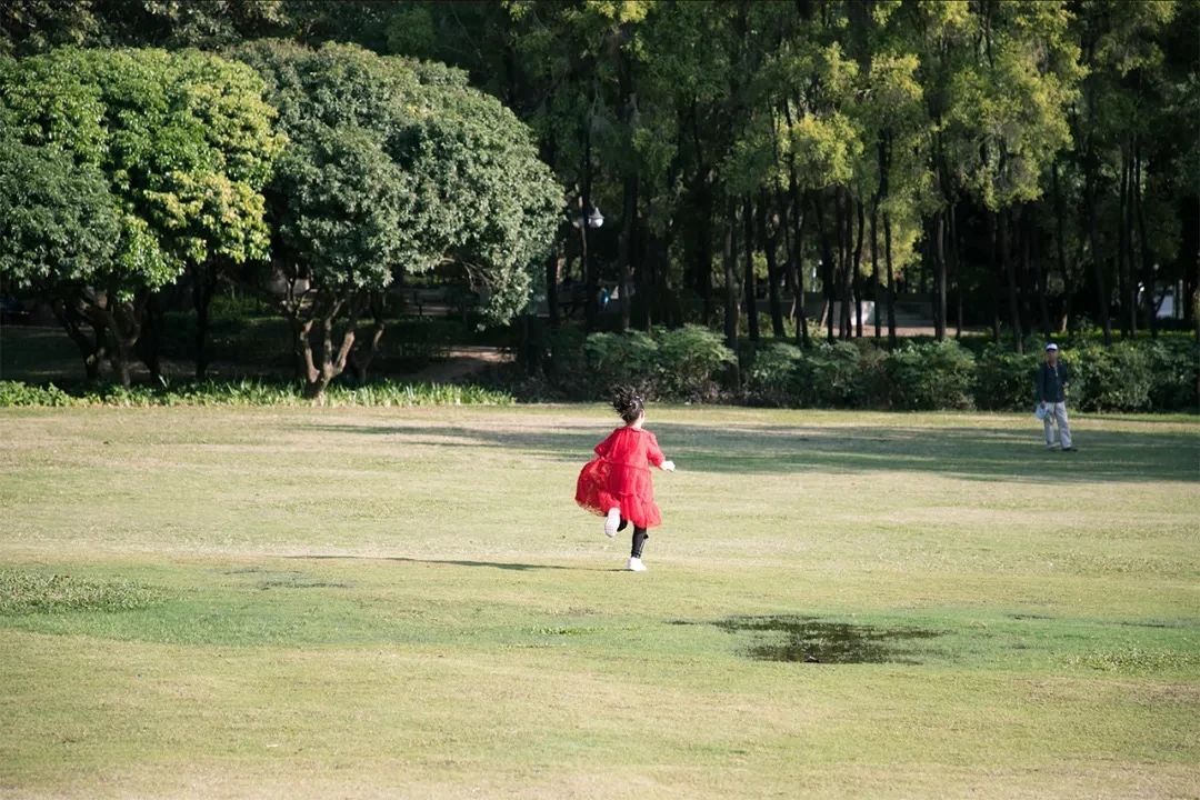 2021深圳免费适合遛娃玩地方排名,深圳免费游玩景点推荐