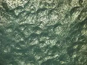 葡萄长锈斑怎么回事,怎样才能防止葡萄烂果