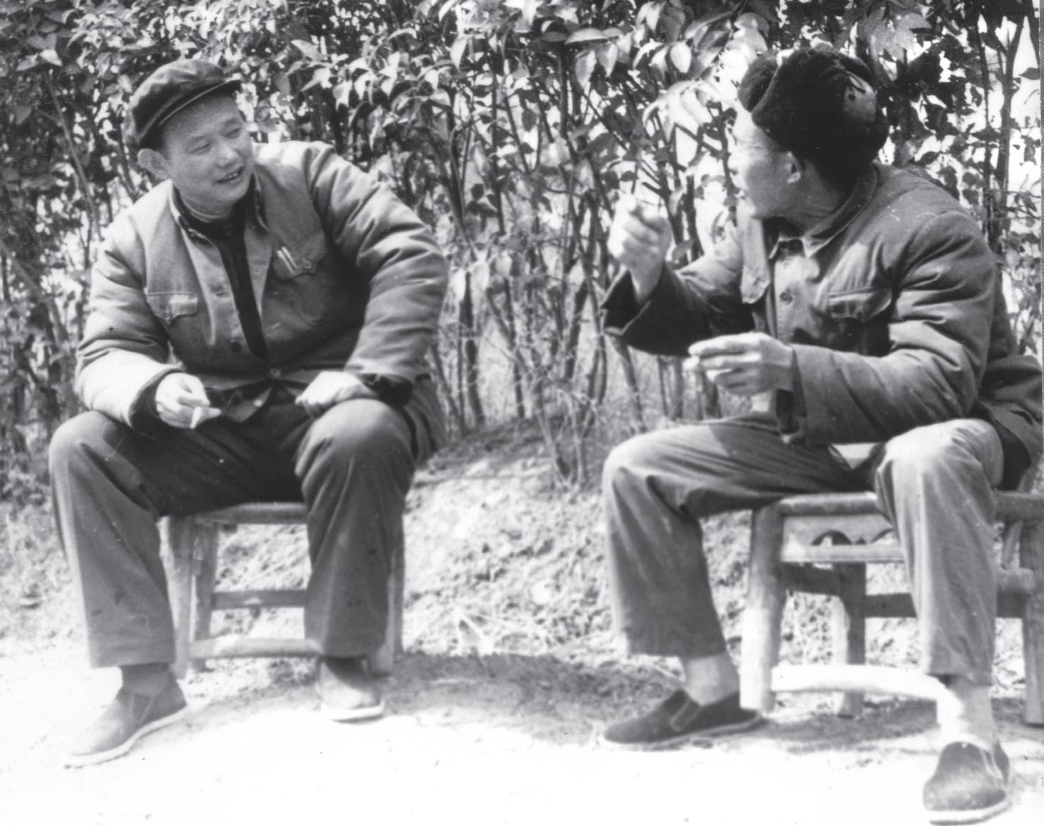 腊梅在哪有,在腊梅盛开的地方