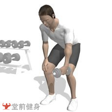 一周4练健身计划,初级哑铃锻炼一周训练计划