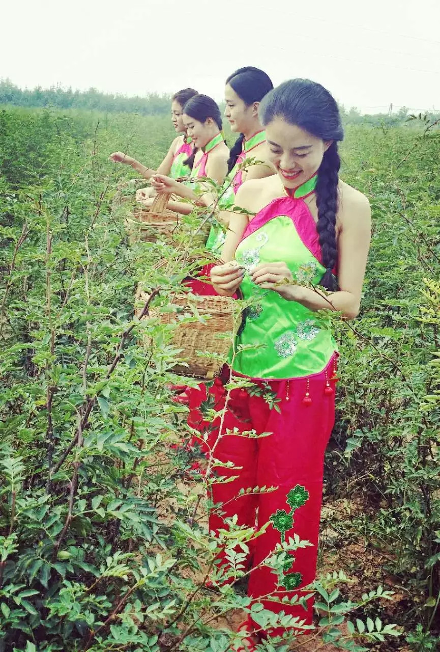 陈绪武,从纸媒到短视频,20年逐梦前行