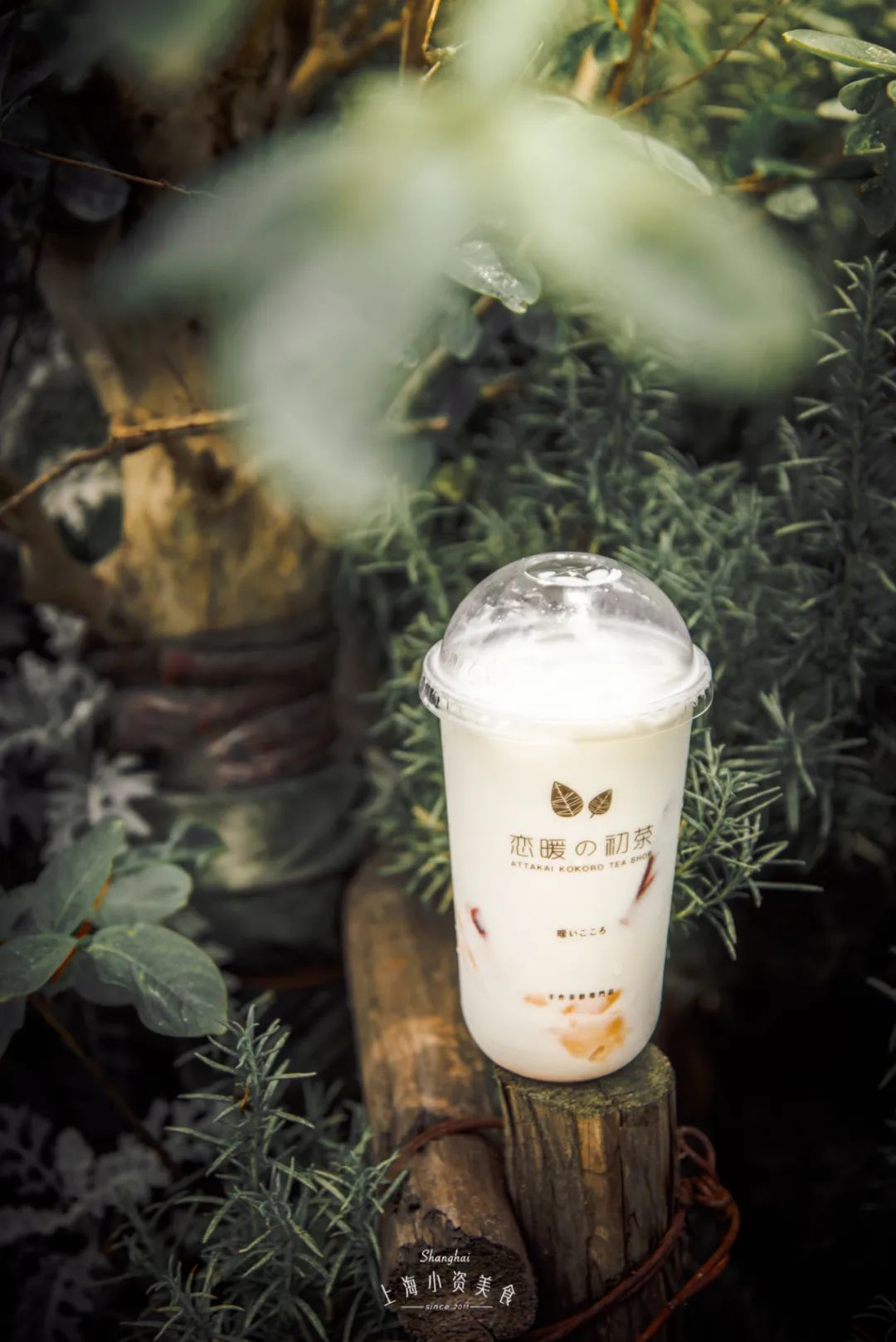 网红饮料喝起来,中药奶茶网红饮品