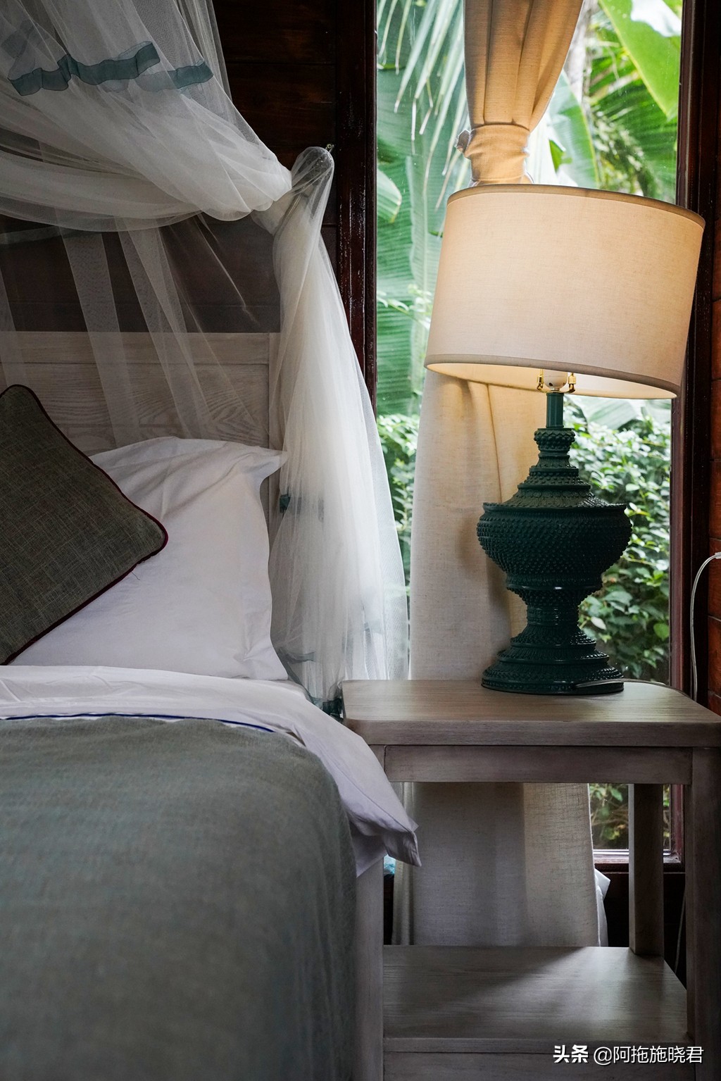 漫步其中尽享清新惬意,漫步海边椰林