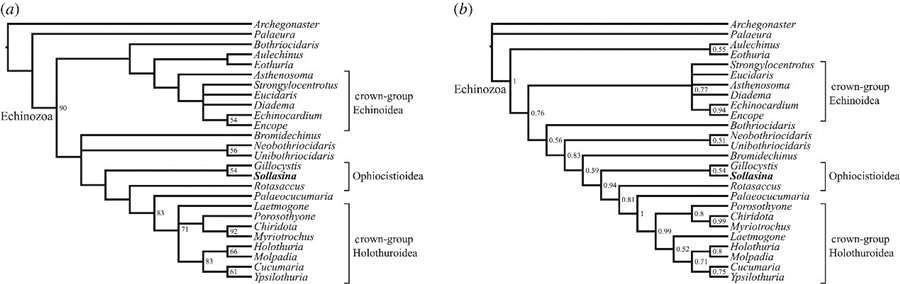 海参快灭绝了吗,有哪些动物是人类导致快要灭绝的