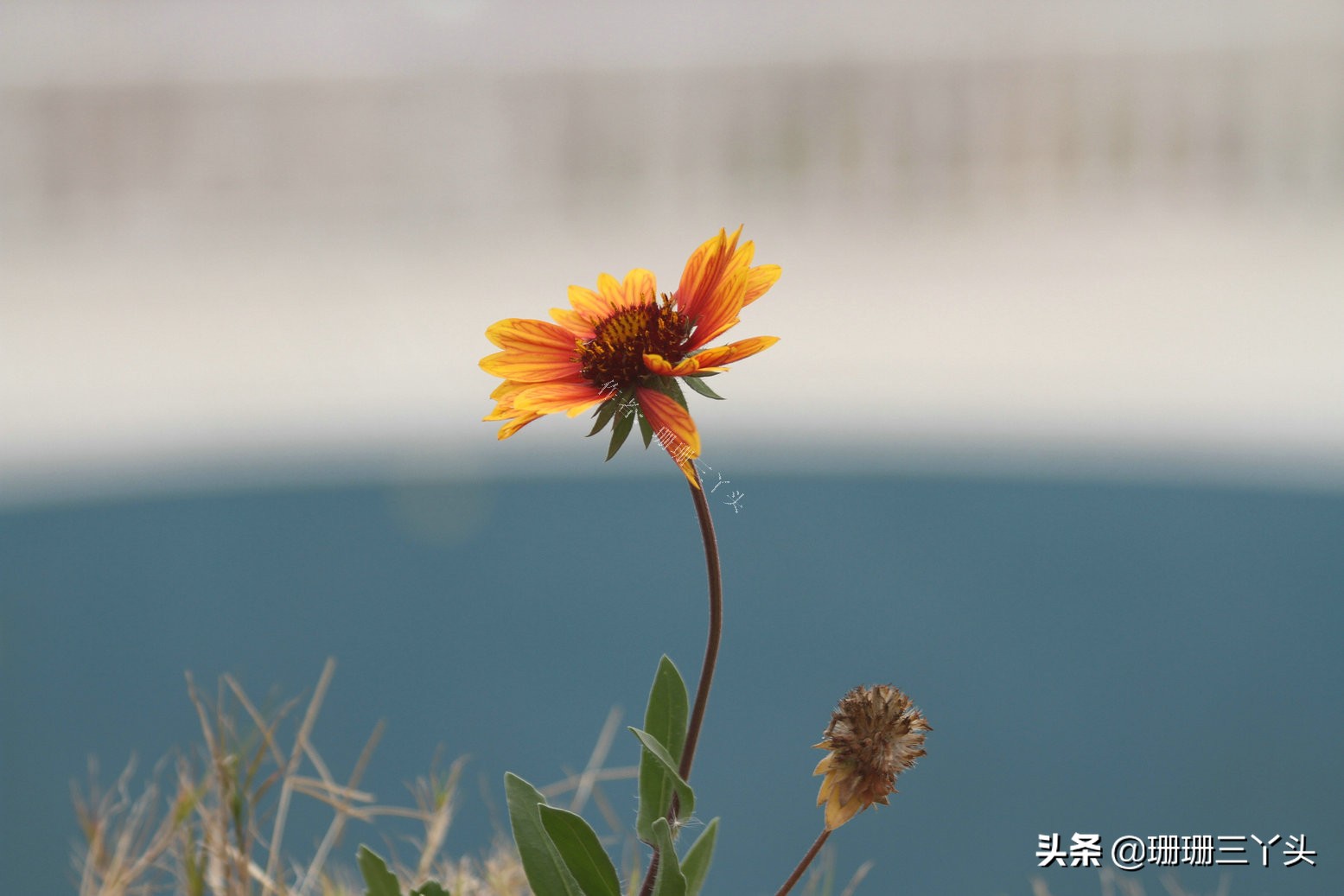 浙江没存在感的城市排名,浙江发展慢的城市