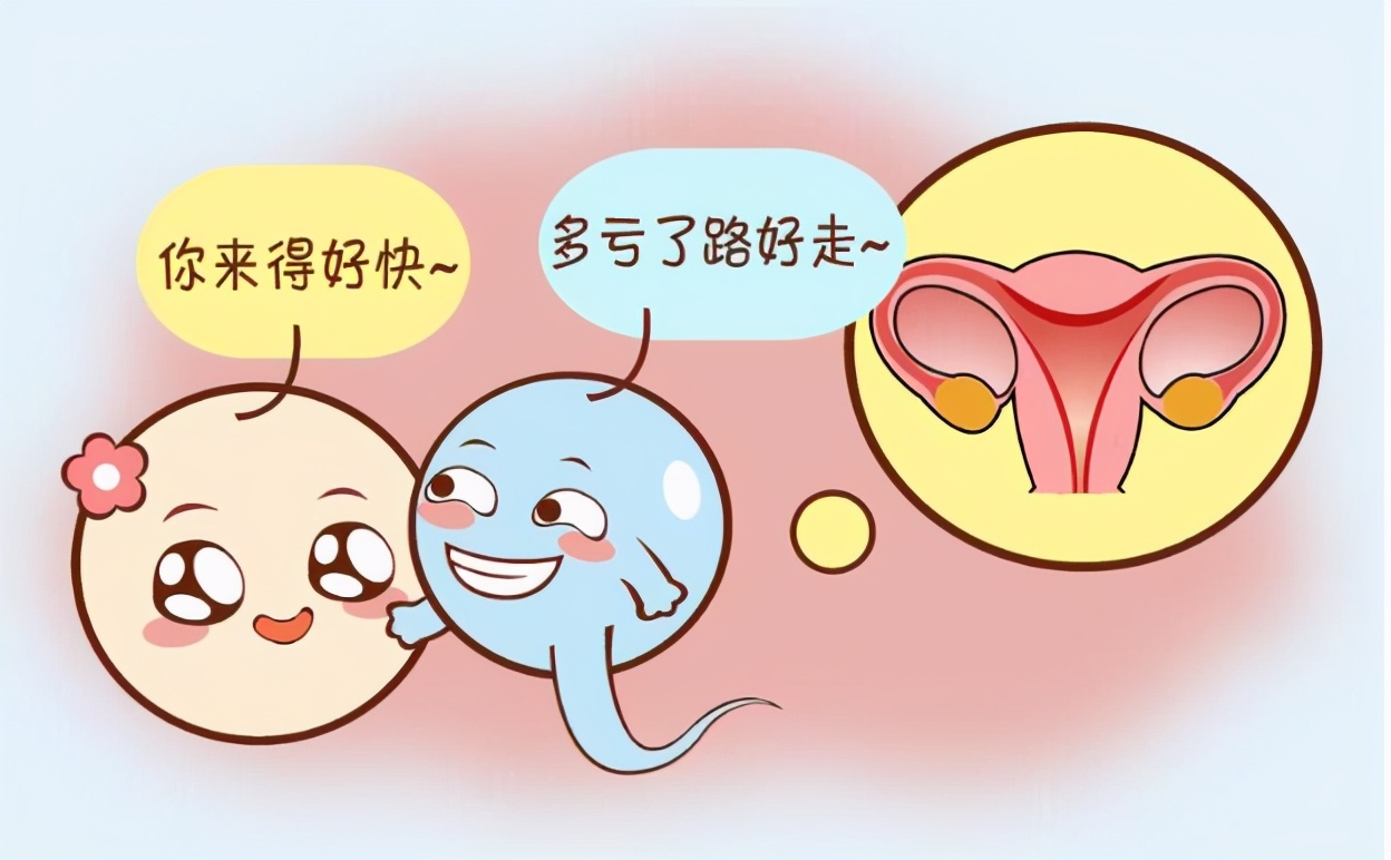 月经量少宫腔粘连可以调理吗,月经量减少宫颈粘连