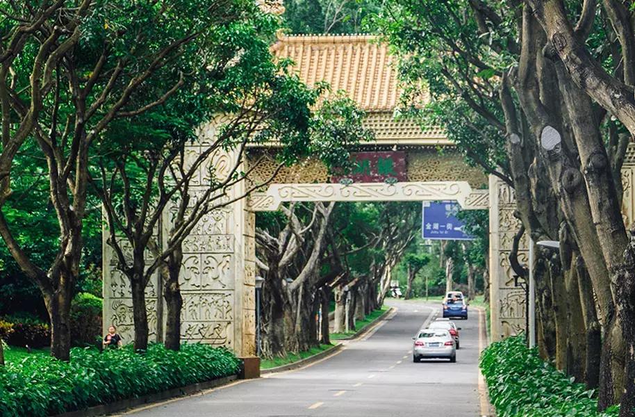 深圳银湖山游玩,深圳银湖有什么好玩的地方