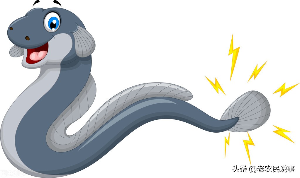 农村房子有什么方法防止蛇出没,怎么避免农村房屋边上有蛇