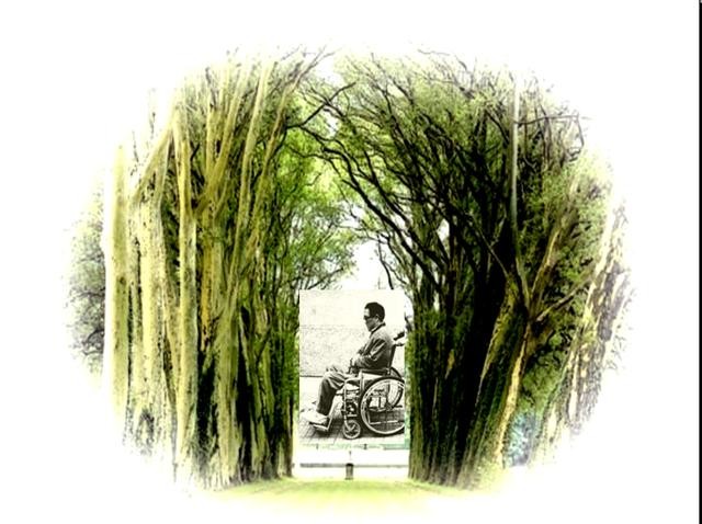 7080后的童年课文回忆视频,70后80后学过的课文