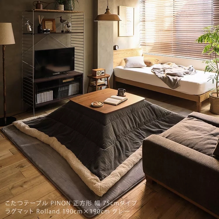 日本冬天没有暖气怎么取暖,日本取暖用什么比较好