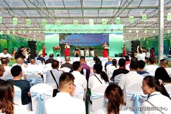 宣化直播带货基地,京西宣府农产品展销会