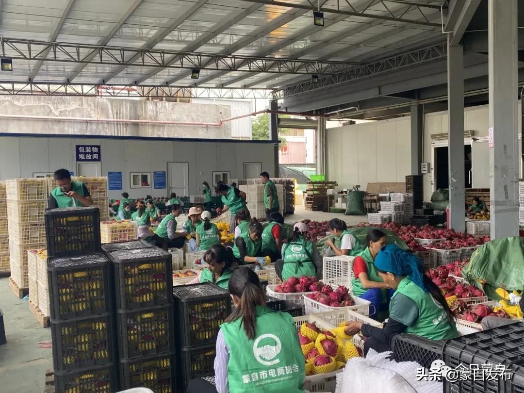 蒙自电商怎么入门,交易额超千亿电商数量