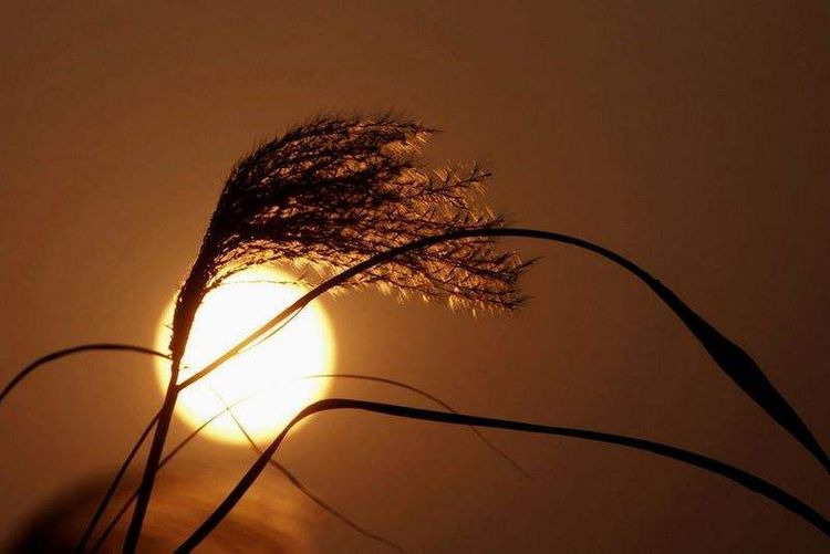 秋韵温柔岁月，冬情惊艳时光