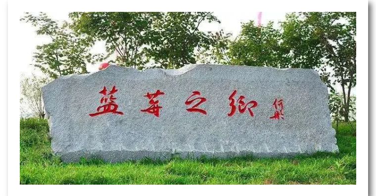 蓝莓推荐广告语,蓝莓宣传广告语四个字