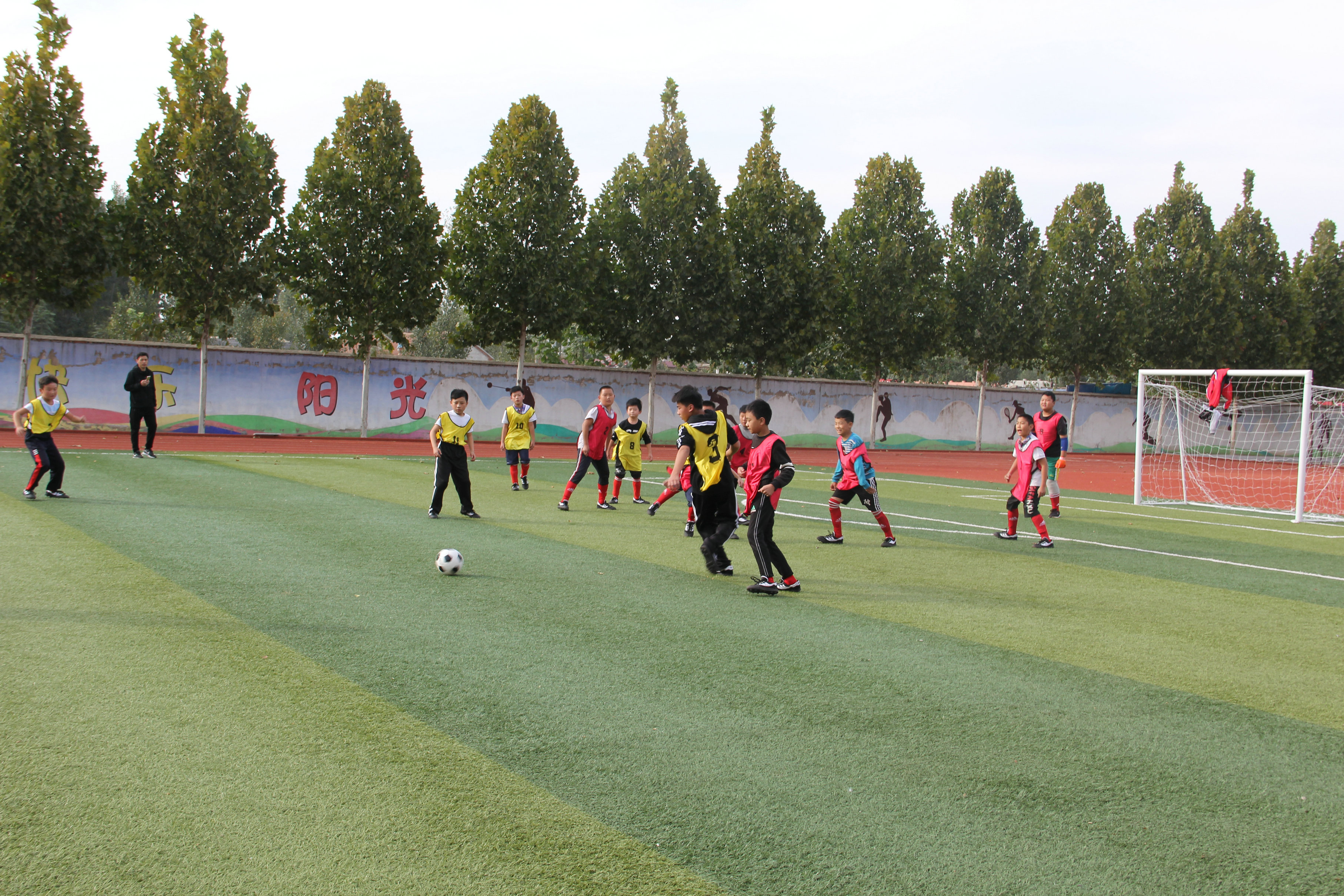 驰骋绿茵场足球争霸,驰骋绿茵场少年梦飞扬