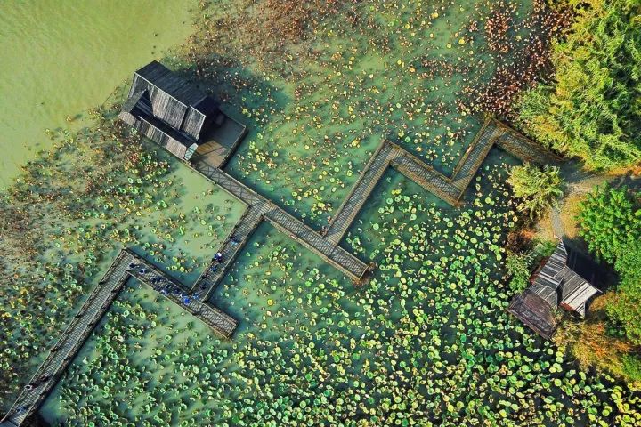 游走在沙家浜湿地公园,沙家浜风景区湿地渔乐园