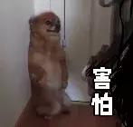 安全课陌生人敲门怎么办,有人敲门安全教育