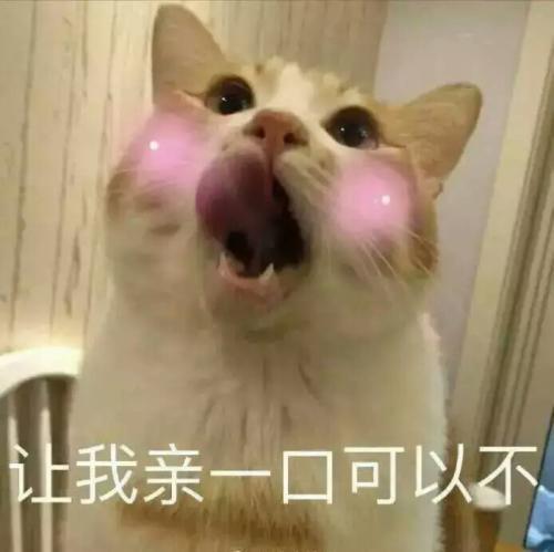 氨基酸洗面奶与控油洗面奶的区别,泡沫洗面奶和氨基酸洗面奶区别