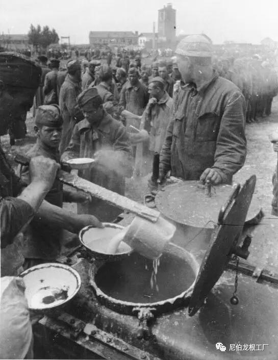 灰色牲口投食器：苏俄牵引式*战野**厨房小史