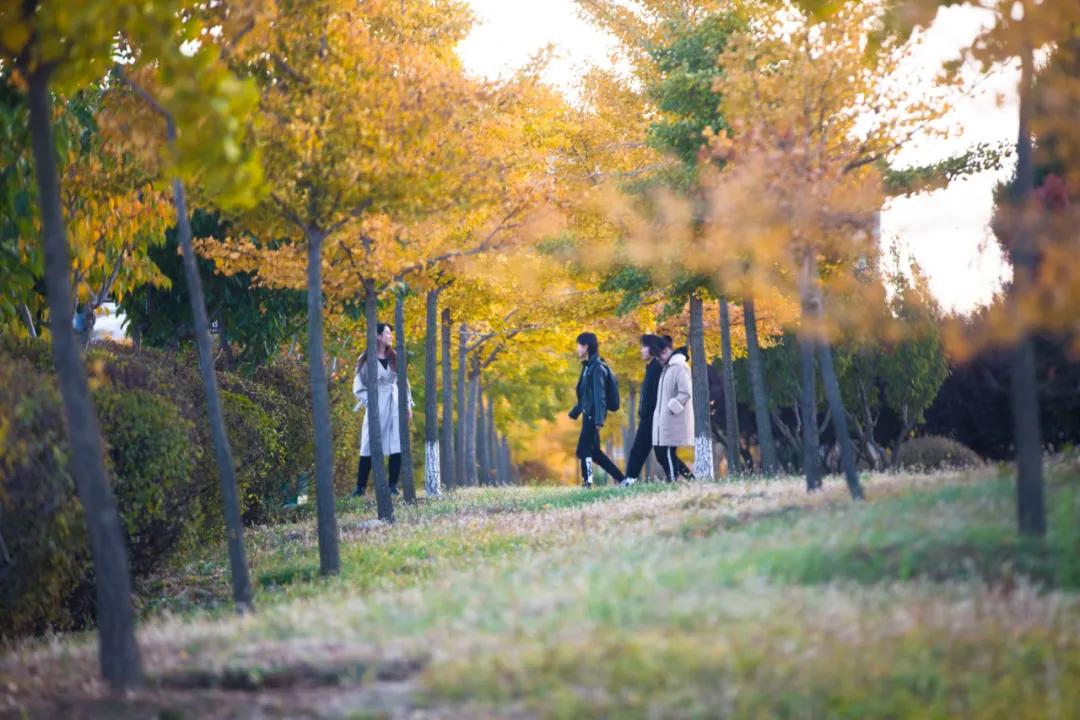 醉美大工秋|读书不觉已秋深，____________