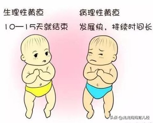 新生儿黄疸退了吃母乳又黄了,新生儿黄疸吃茵栀黄吐奶很严重