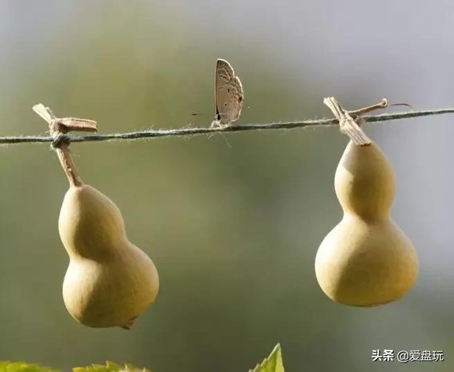 什么手串盘包浆好看,玩最便宜的手串盘出最美的包浆