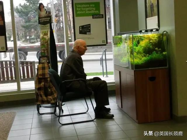 羊驼专治什么病,羊驼治愈厌食症