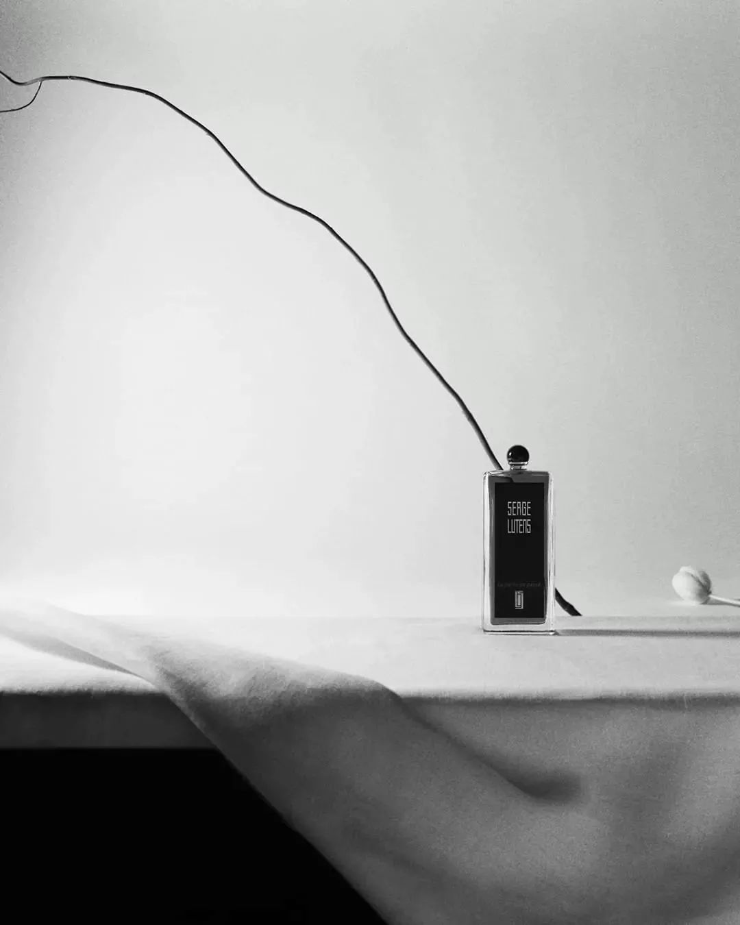 资生堂系列香水哪个好闻,资生堂香水有哪些系列产品