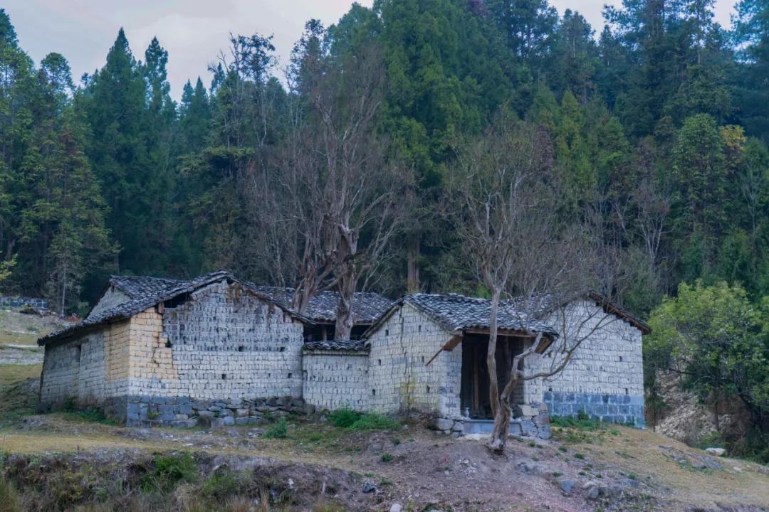 腾冲高山草甸景点,腾冲高原草场