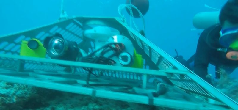 5万亩海洋牧场,青岛最大海洋牧场