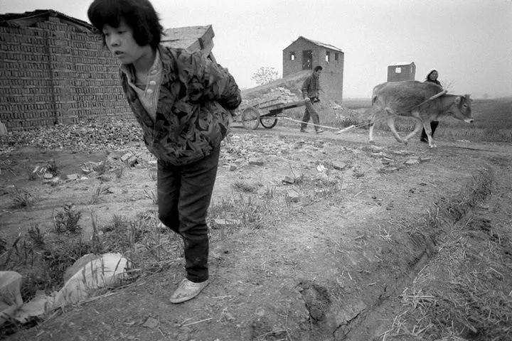 希望工程30周年纪录片,希望工程25周年视频