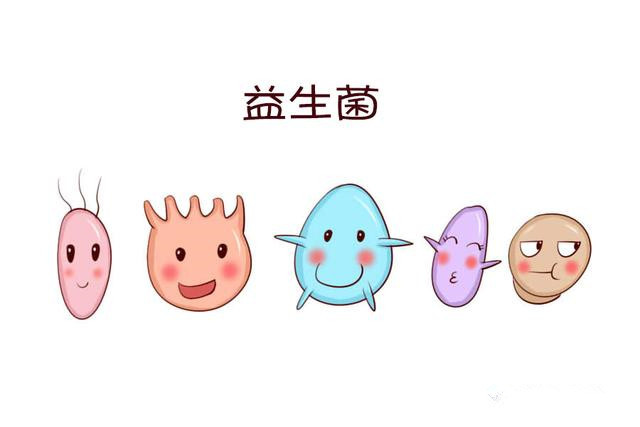 宝宝需要吃食品级益生菌嘛,我家宝宝吃益生菌很少感冒