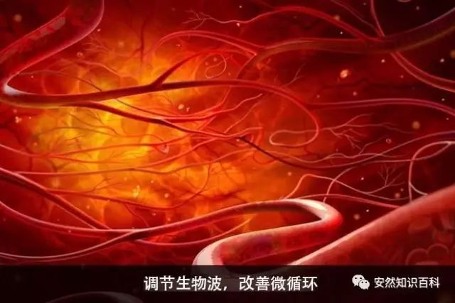 安然纳米邀您同行,安然纳米微生活