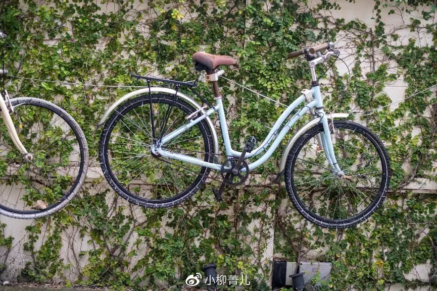 说走就走曼谷这样逛吃玩