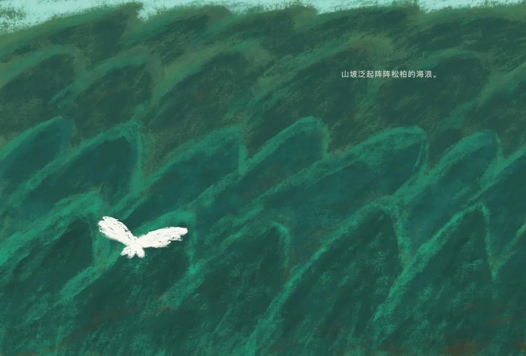 东方娃娃原创绘本奖公众号,儿童原创绘本巡回展