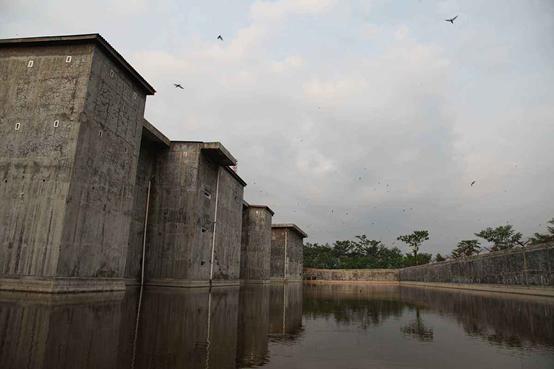 燕窝知识儿童篇,你不知道的营养知识