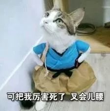 包大师官网下载,包大师平台怎么样