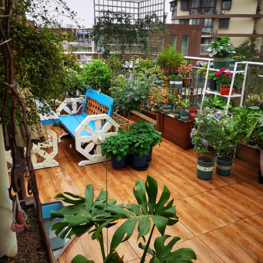 这才是楼顶花园该有的样子,楼顶花园如何出效果