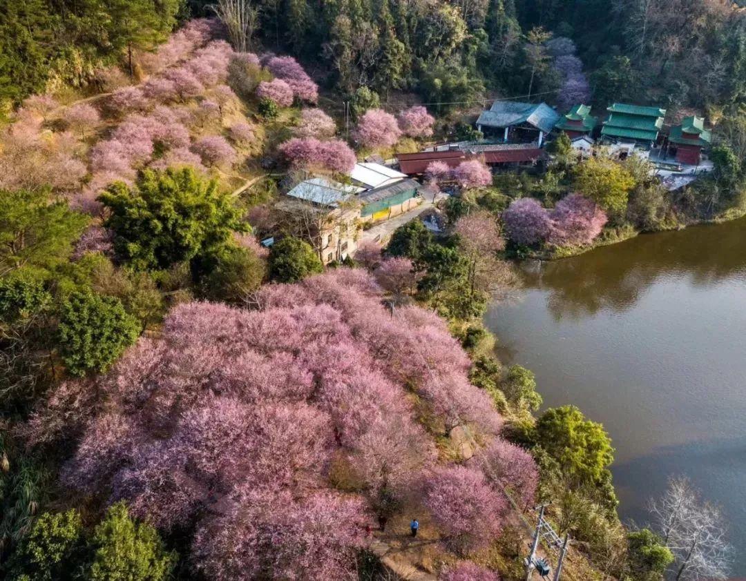 带你了解梅州,梅州介绍宣传片