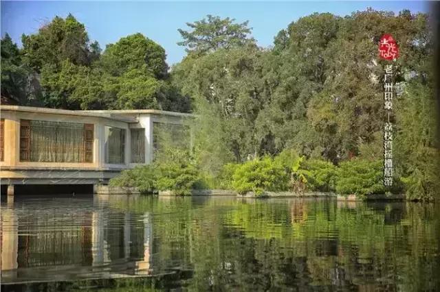 广州早茶看粤剧,老广州早茶听粤剧