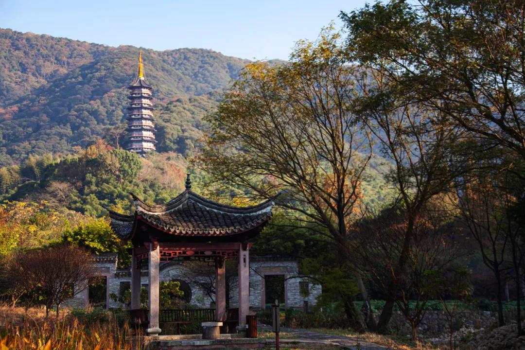 这该死的魅力原版搞笑,这该死的魅力完整版