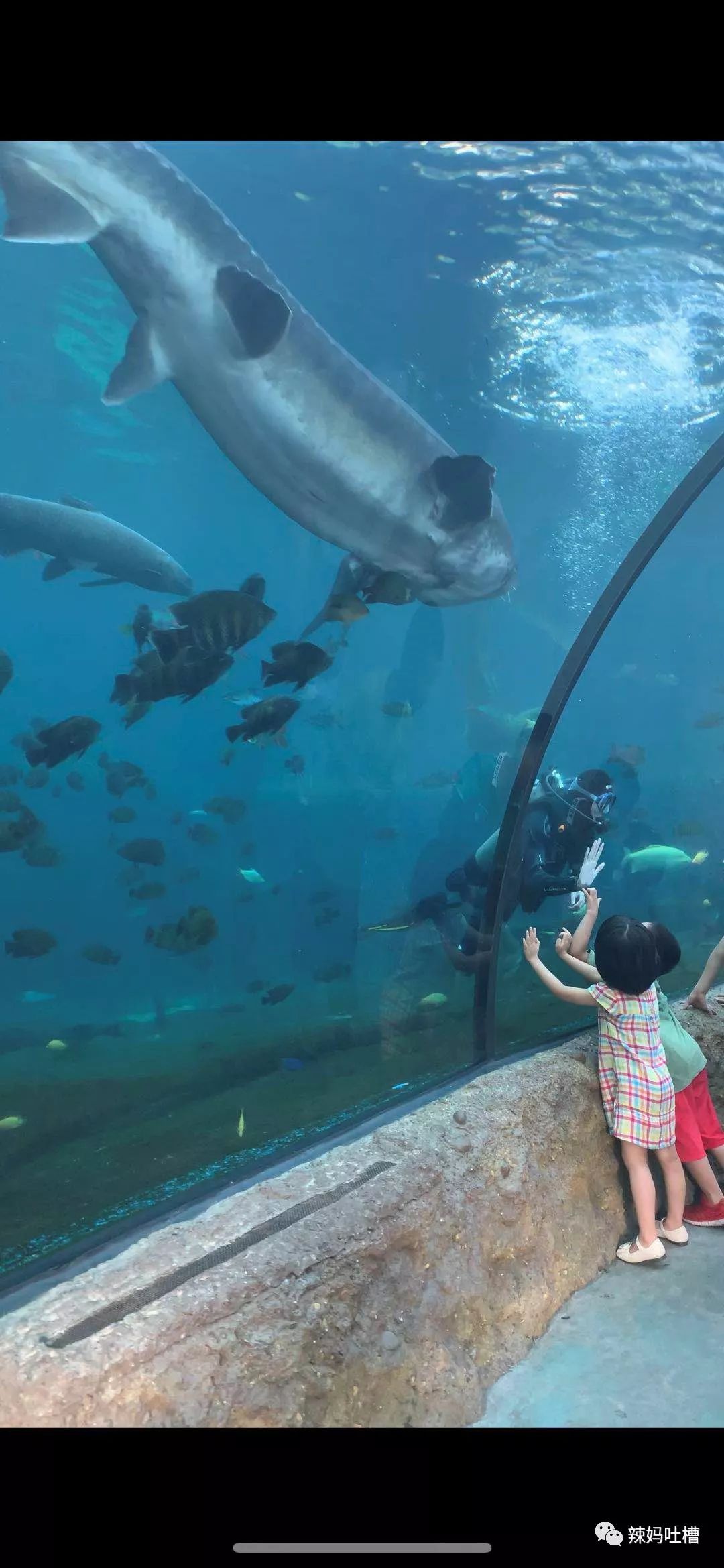 珠海长隆企鹅海洋王国攻略,珠海长隆海洋王国攻略2天亲子游